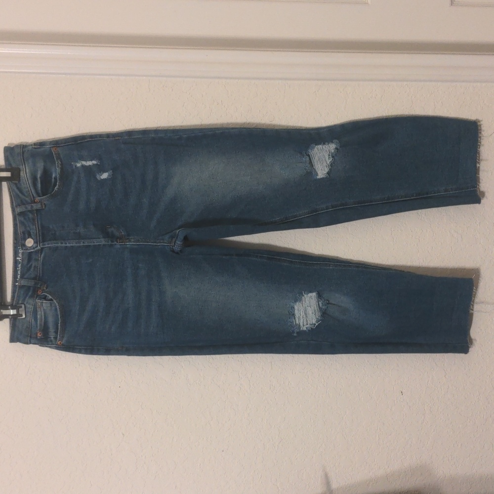 Hippie Denim Real Cheeky Distressed Chic Frayed Hem Women's Blue Jeans W 31